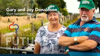 Gary & Joy Donaldson's Short Gestation Belgian Blue Story