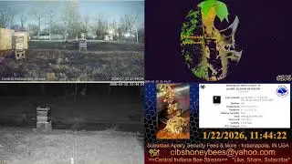 2026/1/22 Back Yard Cam - Weather - Bee Hives - Security Feed - Indianapolis, IN USA