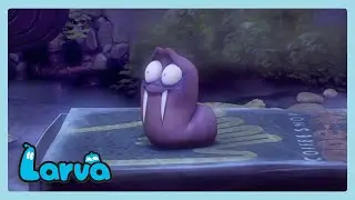 Red el vampiro | LARVA | Dibujos animados para niños | WildBrain Ninos