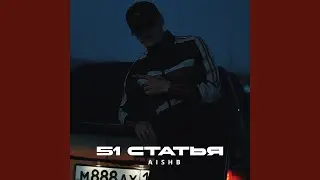 51 статья