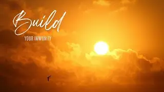 Sound frequency to boost immunity - 285hz and alpha binaural beats - tissue repair + immune support
