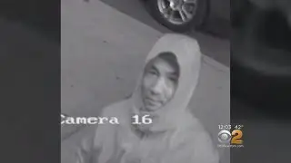 Police: Man Uses Hammer To Break Windows, Security Camera At Brooklyn Islamic Center