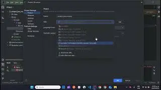 Solución (FIX): Intellij IDEA: JDK 