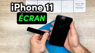 Je lui remplace son &eacute;cran iPhone 11 tomb&eacute; &agrave; plat contre la vitre au zoo 🦜🐻📱