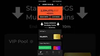 MONEY DOGS🐶💲 BONUS LAUCHPOOL💲💲💲MONEY DOGS LISTING DATE AND TGE🔥🔥🔥