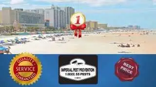 Imperial Pest Prevention www.imperialpestprevent.com