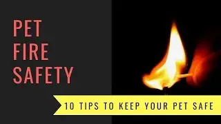 10 Pet Fire Safety Tips