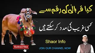 Kya Qurbani ke Pese Ghareeb ko dena Jaiz Hai || Shaor Info|| کیا قربانی  کے پیسے غریب کو دے سکتے ہیں