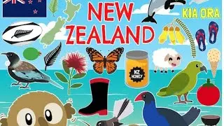 Life in New Zealand The Kiwi Experience