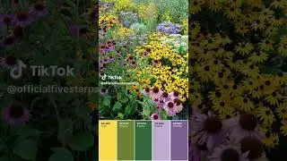 🌿 Garden-Inspired Paint Palette | Nature-Inspired Interior Colors by Five Star Painting