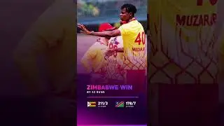 #zimvsned #trending #viralshort #trendingshorts #cricketnews #icc #t20cricket #sikandarraza #cricket