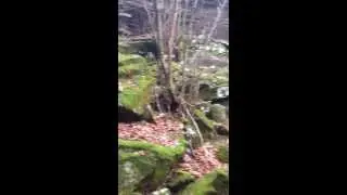 Wood Brothers Falls