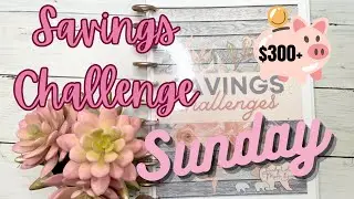 Savings Challenge Sunday! Fun way to save money! #cashenvelopestuffing #savingmoney