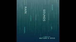 Rain Sounds   Loopable, No Fade