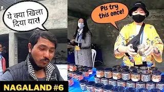 नागालैंड में क्या करना चाहिए! Things to do in Hornbill Nagaland😍