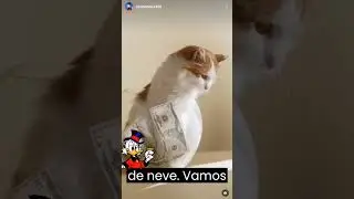 QUANTO RENDE 10MIL EM BGIP4