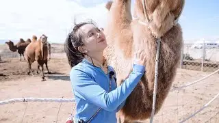 The land of camel milk and honey