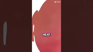 he literally cant move it move it anymore