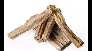 Taurus  Wood, Natural firestarters, Fatwood kindling, Nature's Firestarter, Αυθεντικό Δαδί