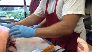 Regan Stachler & Arthur Mueller prepping a pig.