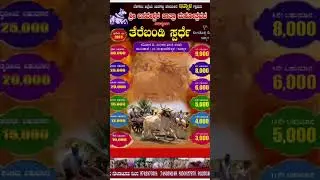 #viralvideo #trending #terabandirace #kannadajanapada #janpada #bullslover