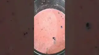 Laziza Jelly Falooda Mix Recipe #cooking #cookingshorts #cookingvideo