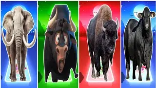 Funny Elephant 🆚 Funny Ferdinand 🆚 Funny Bison 🆚 Funny Cow Coffin Dance Song 