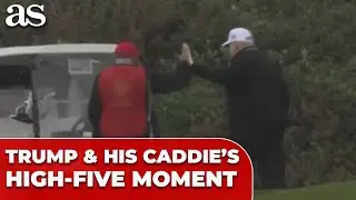 TRUMP and CADDIE share EPIC HIGH-FIVE MOMENT in SCOTLAND