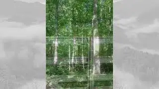 Real Estate For Sale Green Sulphur Springs, WV $348000