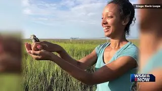 Meet Corina Newsome, the GSU grad student who helped co-organize Black Birders Week