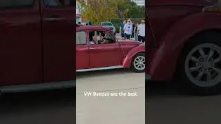 SLUG BUG!