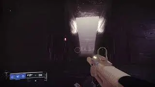Destiny 2 blink hunter Ps5