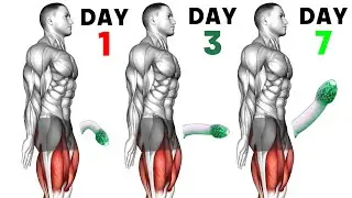 Kegel Exercises for Men 💪🔥 | Ultimate Stamina Boost & Control (Proven!) Alpha-Level Stamina