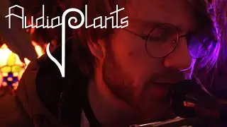 Tom Gulliver - Keep on living it up | AudioPlants Sessions