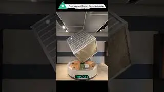 Обманули с миллионом долларов в музее?