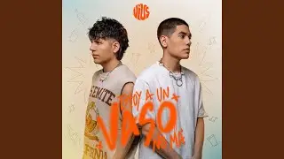 ESTOY A UN VASO NOMA'