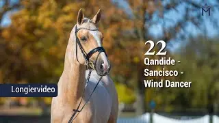 Longiervideo/Lungevideo 5. Mecklenburger K&ouml;rtage Nr. 22 Qandide - Sancisco - Wind Dancer