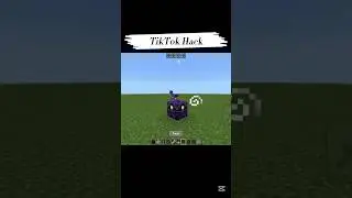 Minecraft TikTok hack. #minecraft #hack