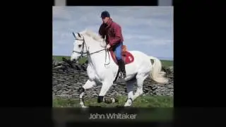 Sport Horse Soundness and Performance