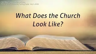 What Does the Church Look Like?