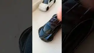 sus race