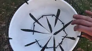 How to make a catfish trap