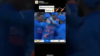 WoOoW manish Pandey best catches 😳| #bestplayer #catch #cricket #shots #player #match #oneday #ipl