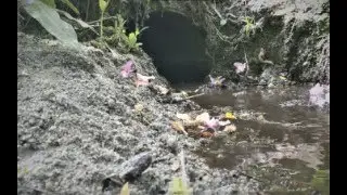 Unblocking 2 culverts after strong winds and a brand new camera view!!