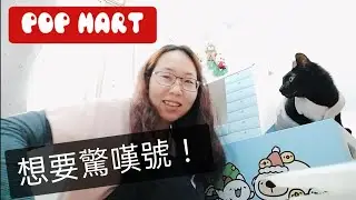 開箱‼️Labubu吊飾盲盒N-Z.有驚嘆號嗎⁉️