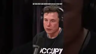 Elon musk on meditation