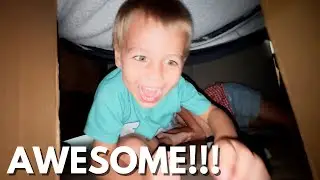 These KIDS Are Getting WILD In Their NEW BOX FORT