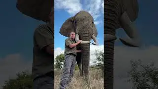 This is Mak - a real life, super-hero for elephant conservation all over the world! 🐘🙌🏻  #ivancarter