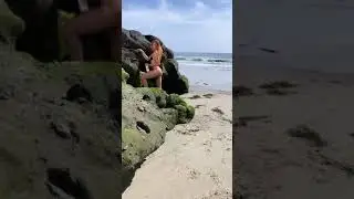 Danielle Moinet New Today Insta Reels #Shorts #Youtubeshort