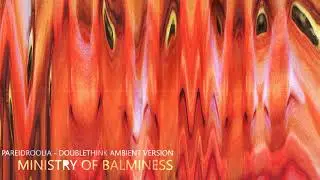 Pareidroolia - Doublethink Ambient - Ministry of Balminess